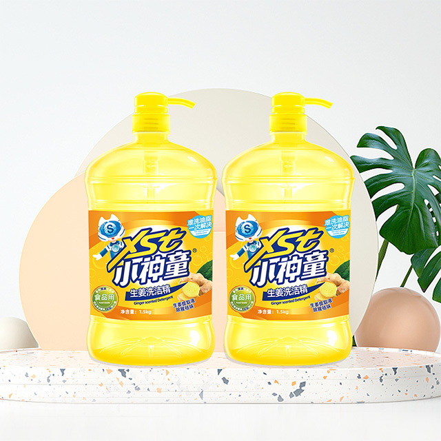 XST-Kitchen Clean & Care
