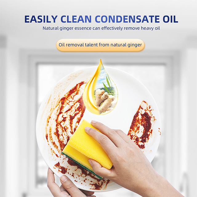 XST-Kitchen Clean & Care