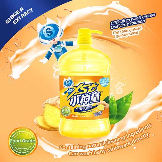 XST-Kitchen Clean & Care